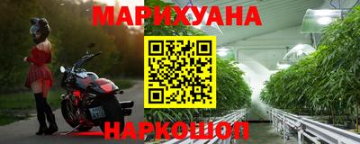 гашик Новозыбков