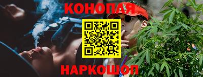 гашик Новозыбков