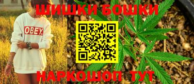 гашик Новозыбков