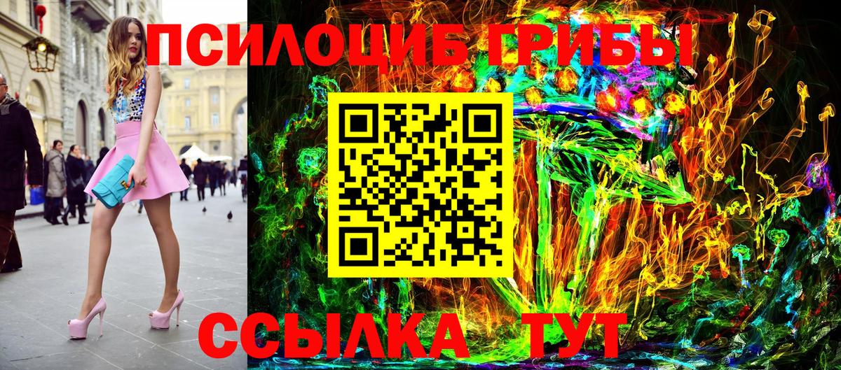 Галлюциногенные грибы Psilocybe Солнечногорск